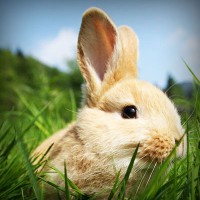 /album/belepes-csak-csajoknak-/photolia-a03-jpg/