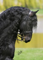 /album/belepes-csak-csajoknak-/friz3-jpg/